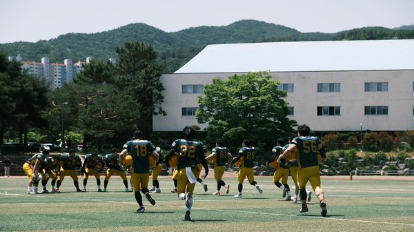 Come costruire un curriculum professionale: consigli, modelli ed esempi