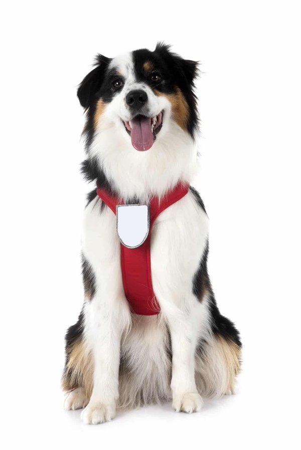 Quali sono le migliori tecniche per personalizzare i capi senza cucire?